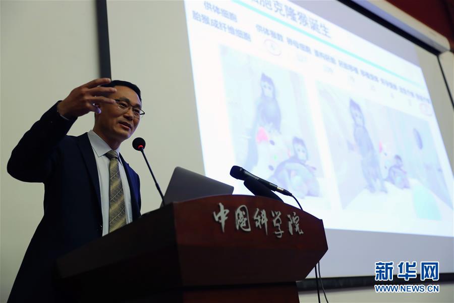 （科技）（3）中国科学院公布体细胞克隆猴研究成果