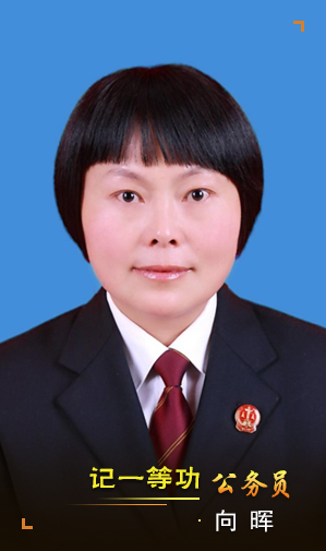 向晖