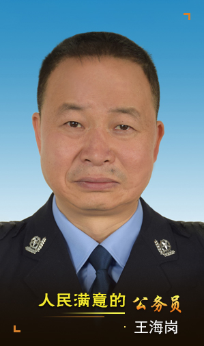 王海岗