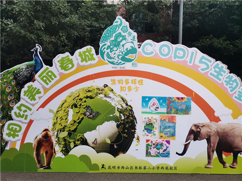 共建生命共同体"为主题的少先队活动,以及手抄报比赛来宣传cop15,科普