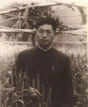 红薯育种研究教学袁隆平最初从事湖南安江农校做老师被分配到西南农