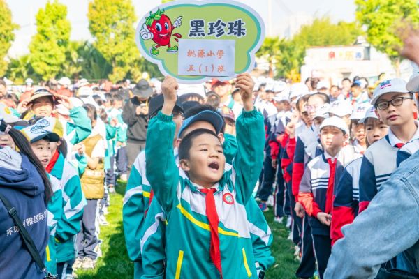 桃源小学开展2024年跟着党史去劳动实践活动